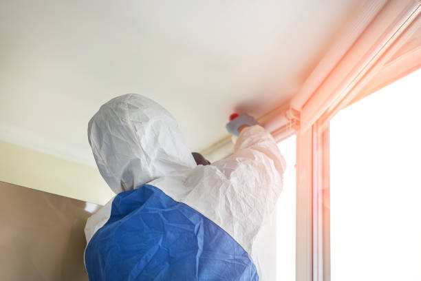 Best Environmental Consulting for Mold Prevention  in New Brighton, PA