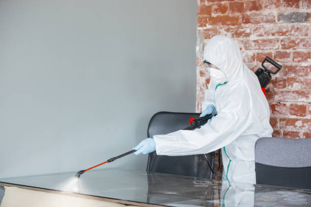 Mold Remediation for Vacation Homes in New Brighton, PA