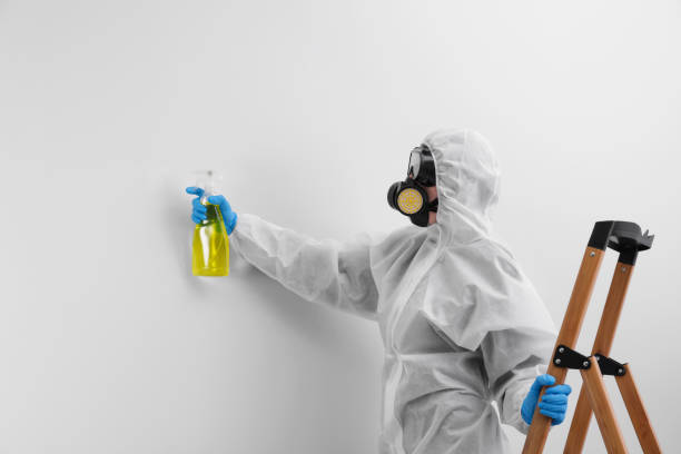 Biohazard Mold Removal in New Brighton, PA